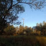 Exif_JPEG_420
