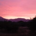IMG_20250616_214601_1